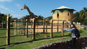 Zoológico do Parque Beto Carrero